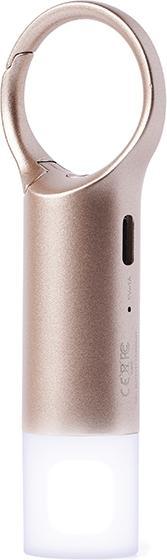 Produktbild Lexon Nomaday Flash Brelok LED złoty/gold LL137D
