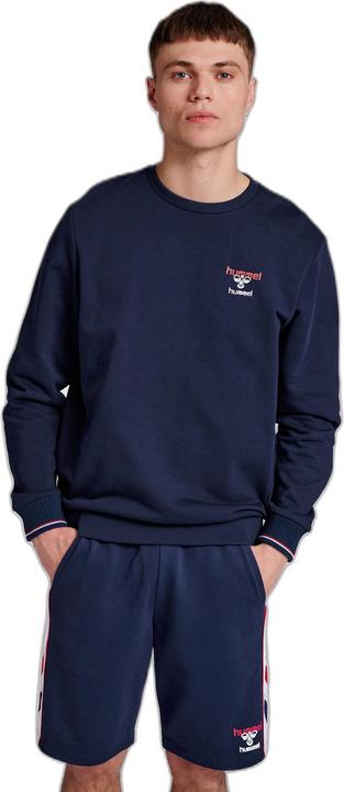 Actual product image hummel Ic Dayton Sweatshirt (L)