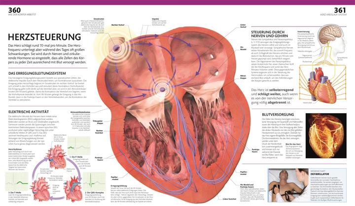 Produktbild Anatomie und Physiologie (Deutsch, Andreas Held, DK Verlag, Simone Blass, Nikola Schmidt, Alice Roberts, 2023)