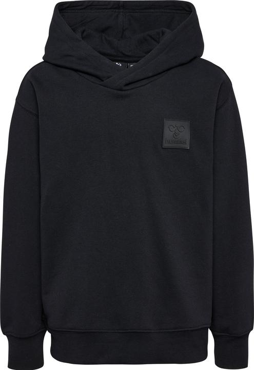 Image du produit hummel hmlCLEAN HOODIE (176)