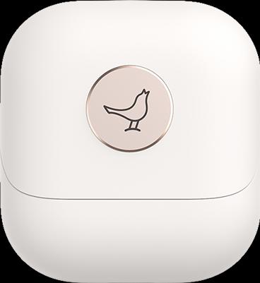 Immagine prodotto Libratone Air+ (2a generazione) (ANC, 6 h, Senza fili)