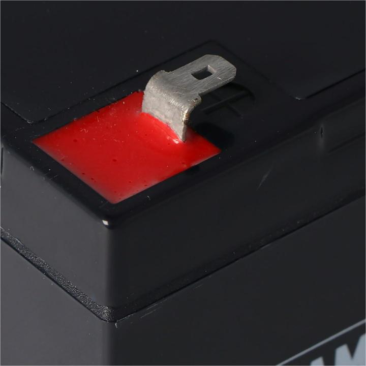 Actual product image Fiamm Akku FG11201 (6 V, 12 Ah)