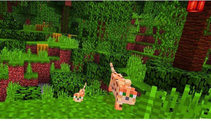 Immagine prodotto Microsoft Minecraft (Xbox Series X, Xbox One X, Multilingue)
