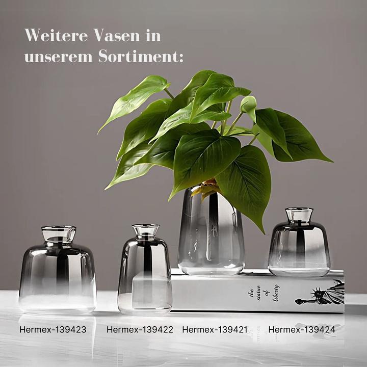 Actual product image Hermex Tischvase Blumenvase Ziervase Glasvase Dekovase Designvase (1 x)