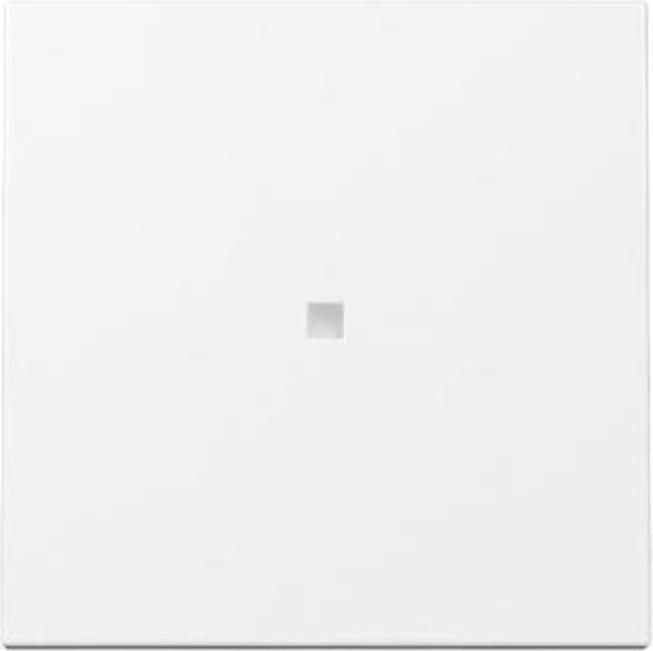 Actual product image Gira Control rocker System 55 329003 Pure white