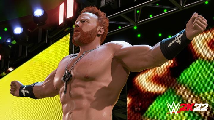 Actual product image 2K Games WWE 2K22 (PS4, EN)