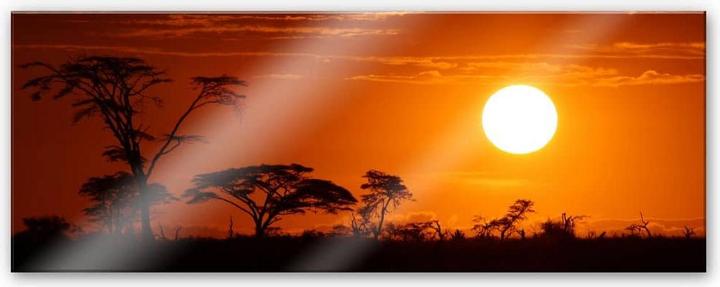Image du produit Trenddeko Steppe africaine - panorama (120 x 50 cm)