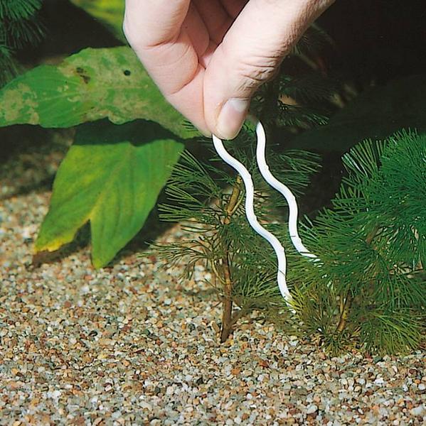 Immagine prodotto JBL Aquaristik und Terraristik Plantis, 12 spille a forma di pianta (Cura delle piante d'acquario)
