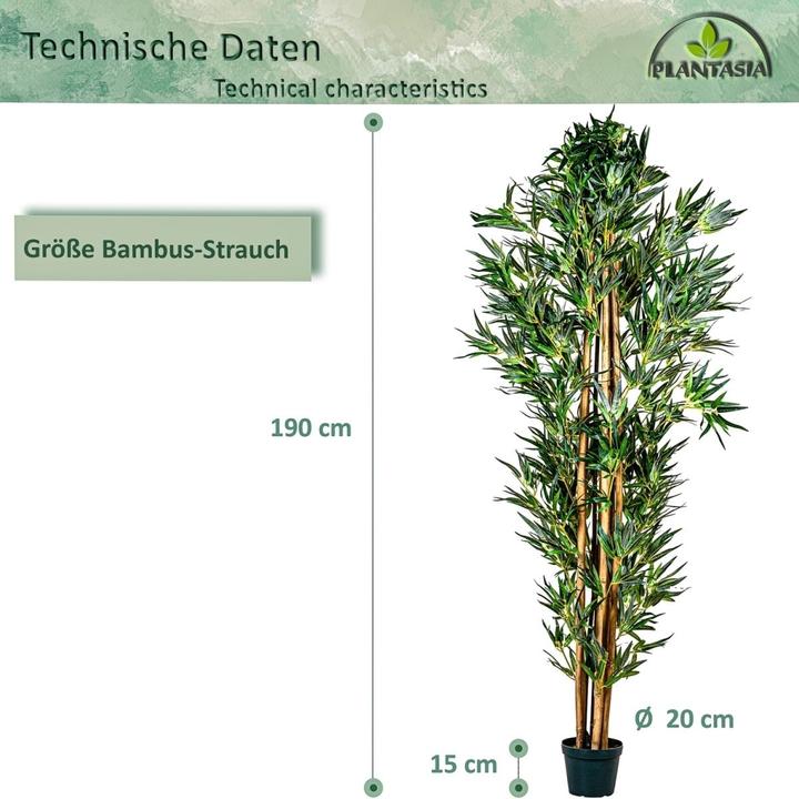 Image du produit Plantasia Bambou Arbuste (160 cm)