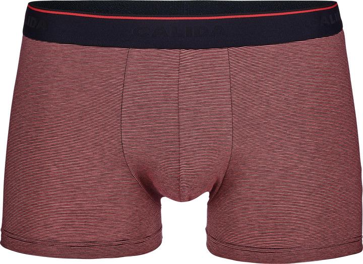 Image du produit Calida Cotton Stretch BoxerBrief (S)