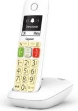 Actual product image Gigaset E290 Duo