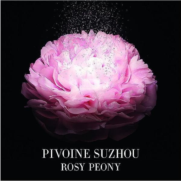 Immagine prodotto Giorgio Armani Pivoine Suzhou (Eau de toilette, 100 ml)