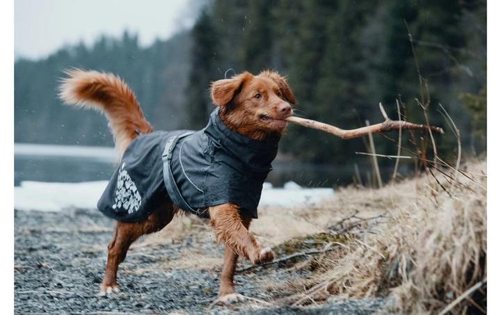 Actual product image Hurtta Monsoon raincoat dark grey (50, M, Dog raincoat)