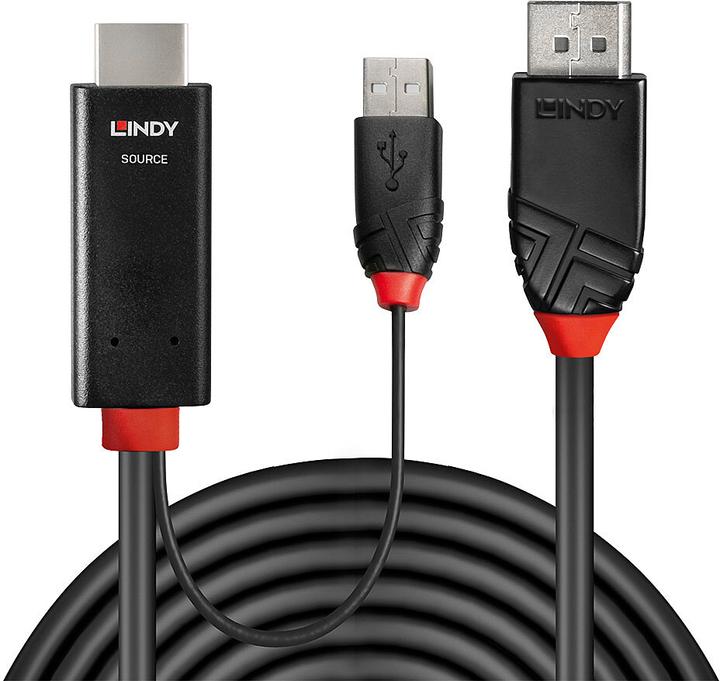 Actual product image Lindy HDMI to DisplayPort adapter cable (1 m, DisplayPort, HDMI)