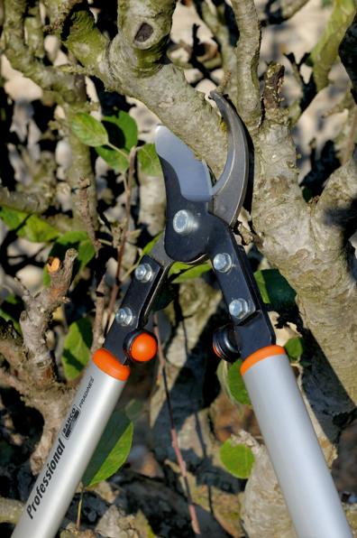 Produktbild Bahco Obstbaum-Astschere, P160-SL-90