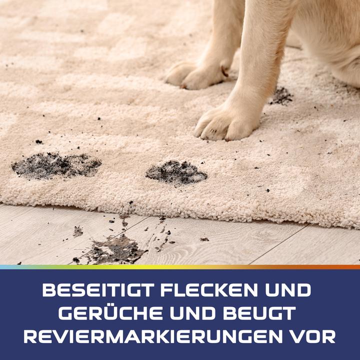 Immagine prodotto Vanish Pet Expert Carpet Care Foam