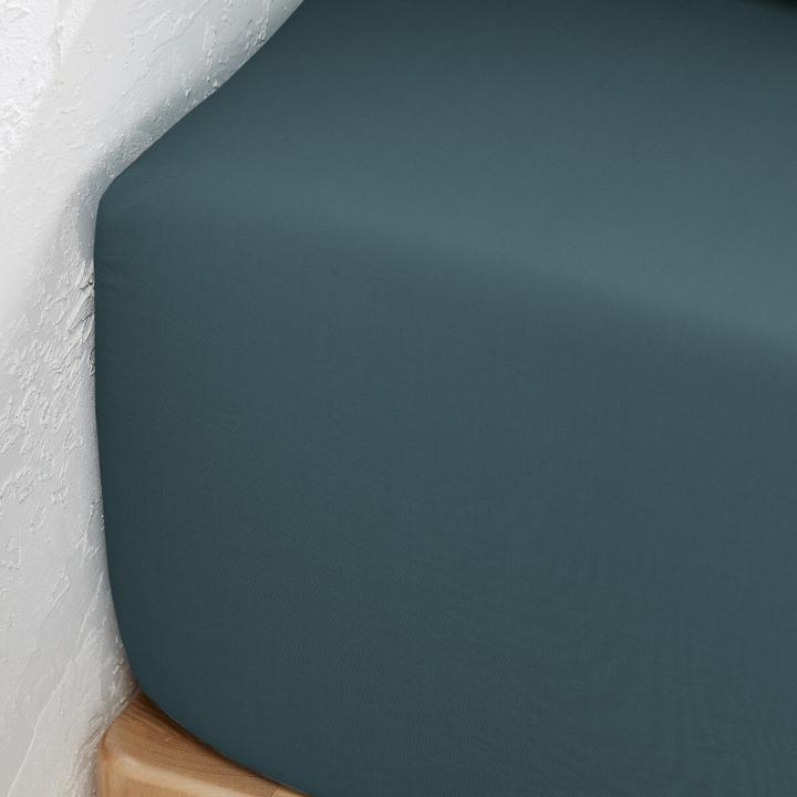Immagine prodotto La Redoute Interieurs Percale Bio (180 x 200 cm)
