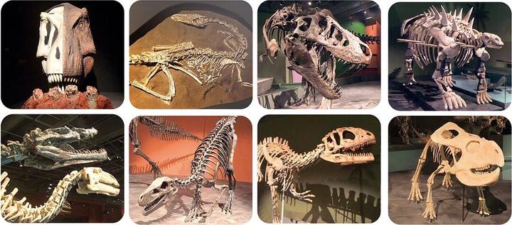 Actual product image Scratch Projector Flashlight Dinosaur incl. screens (German, French, Italian, English)