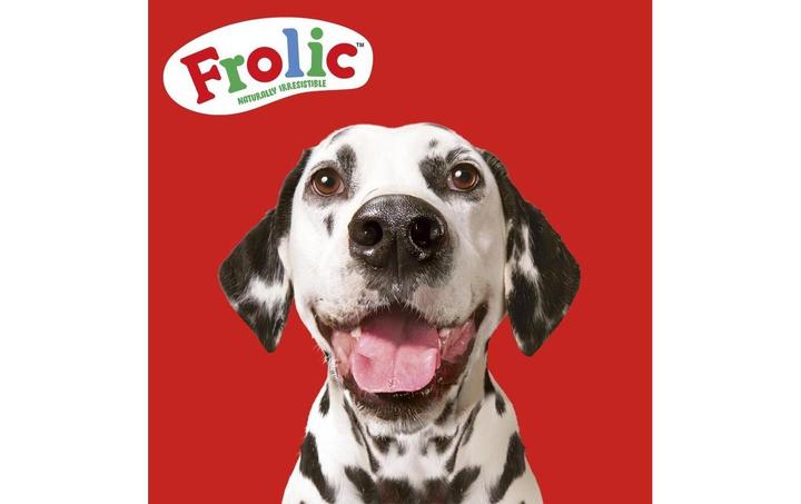 Image du produit Frolic 100% Complet (Adulte, Junior, Senior, 1 pcs, 1500 g)