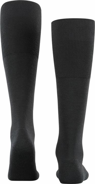Immagine prodotto Falke Aeroporto Plus (43 - 44)