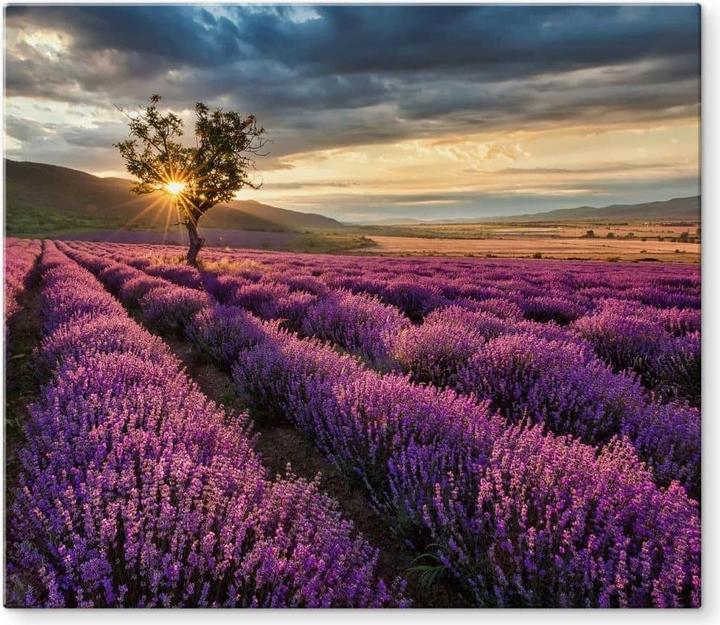 Actual product image Trenddeko Lavender flower in Provence