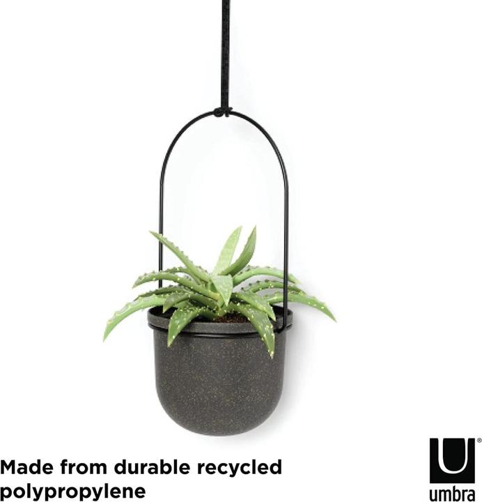 Actual product image Umbra Triflora (137 cm)