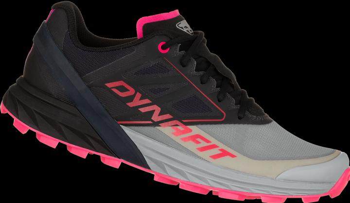 Image du produit Dynafit Alpine (41)