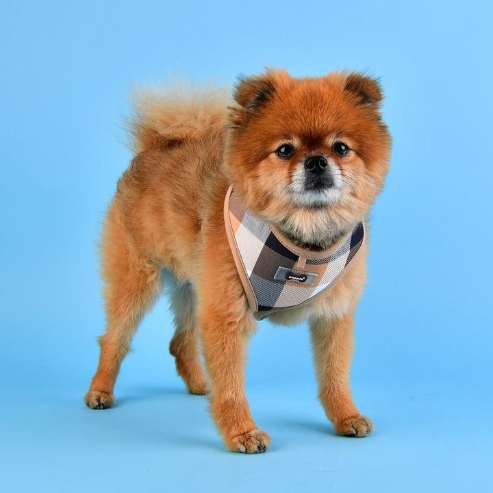 Image du produit Puppia Harnais de poitrine Quinn A (L, Chien, Promenade)