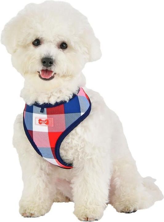 Produktbild Puppia Quinn Brustgeschirr A (S, Hund, Spazieren)