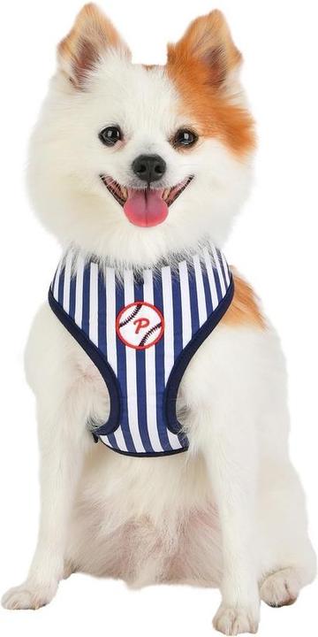 Produktbild Puppia Hermes Brustgeschirr A (S, Hund, Spazieren)