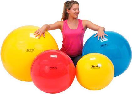 Image du produit Ledraplastic Balle de gymnastique (75 cm)