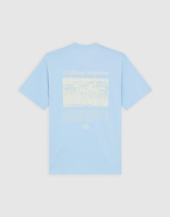 Image du produit Dickies Companion Script Ss Tee Skyway (L)