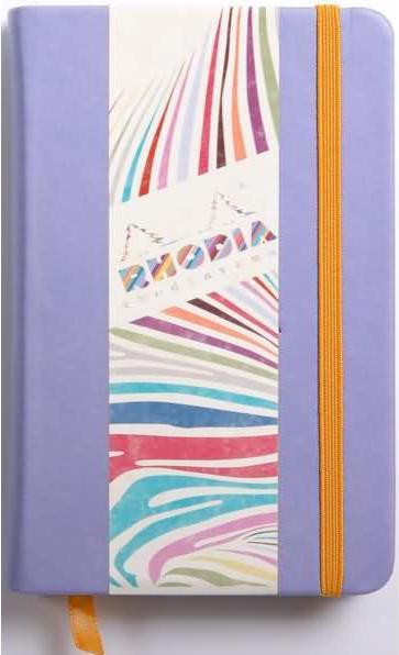 Image du produit Rhodia Carnets et cahiers Rhodiarama (A6, À rayures)