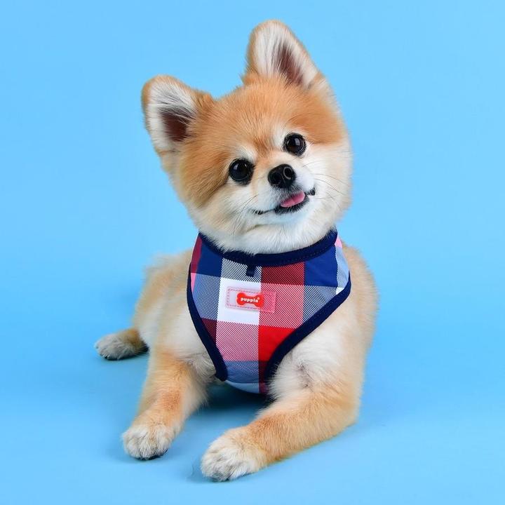 Produktbild Puppia Quinn Brustgeschirr A (S, Hund, Spazieren)
