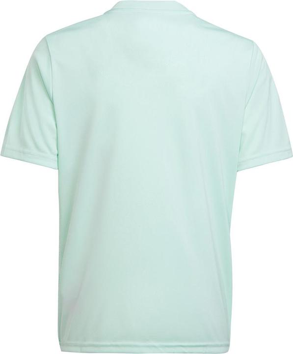 Actual product image adidas Team Icon 23 Jersey (128)