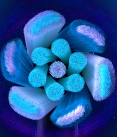 Actual product image Oral-B iO Ultimate (2 x)