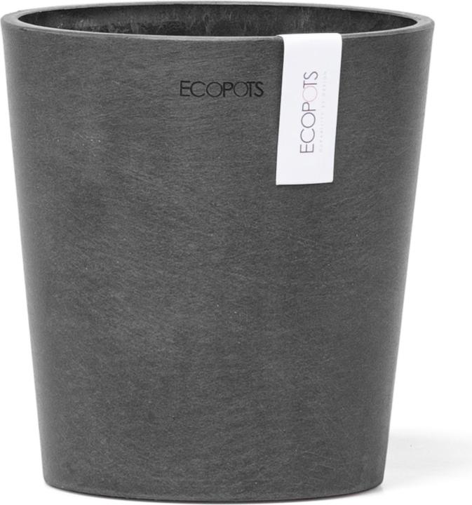 Actual product image Ecopots Morinda (14 cm)