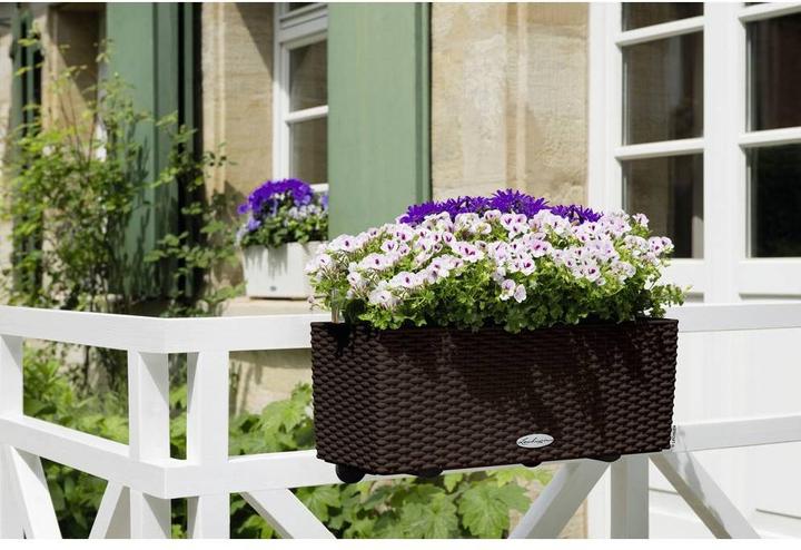 Actual product image Lechuza Balconera Cottage (19 cm)