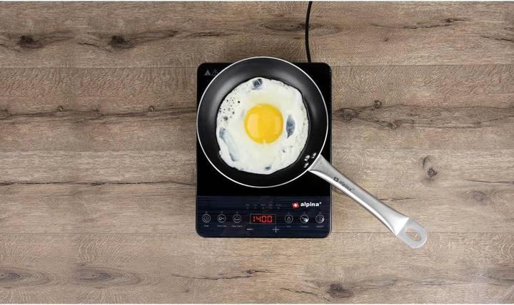 Actual product image alpina Induction cooker