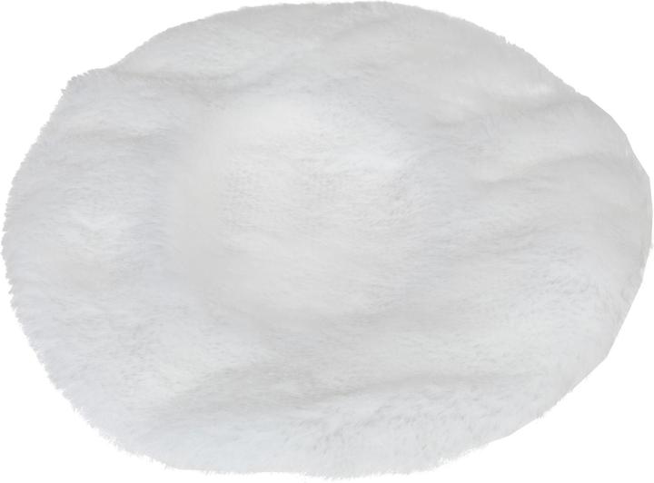 Actual product image FTM Poliermaschine (Eccentric polisher, 110 W)