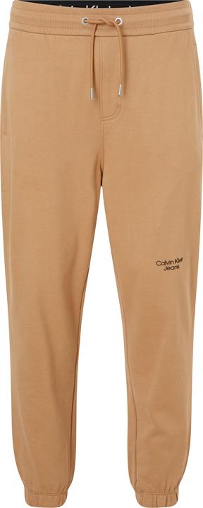 Image du produit Calvin Klein Jeans logo empilé HWK Pan J30J320590 GV7 L (L)