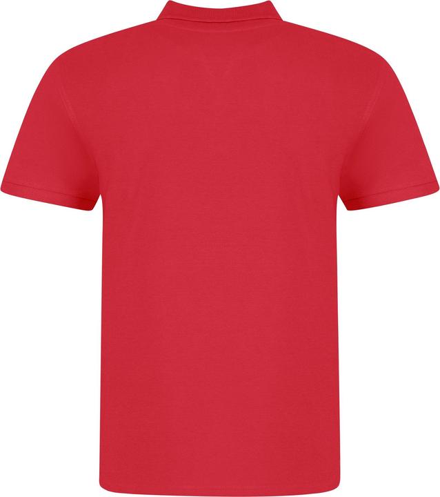 Image du produit Awdis Polo Just Polos (XXL)