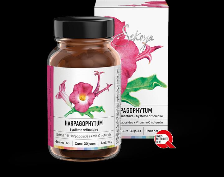Sekoya Harpagophytum (Teufelskralle) | Gegen Arthrose (60 Stück, Kapseln)