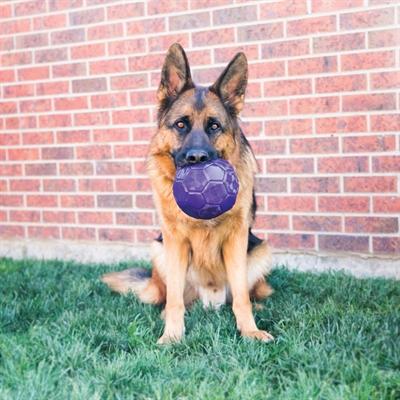 Actual product image KONG Flexball (Ball toy dog)