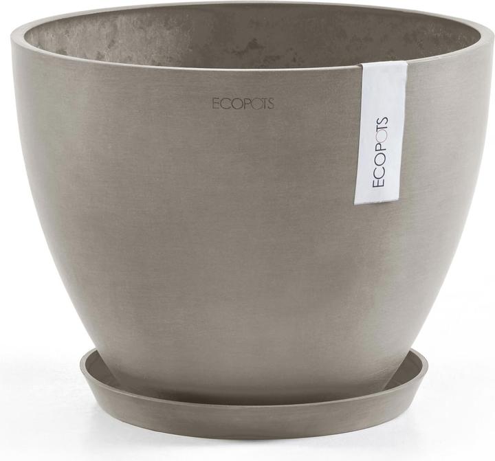 Immagine prodotto Ecopots Piattino rotondo 21