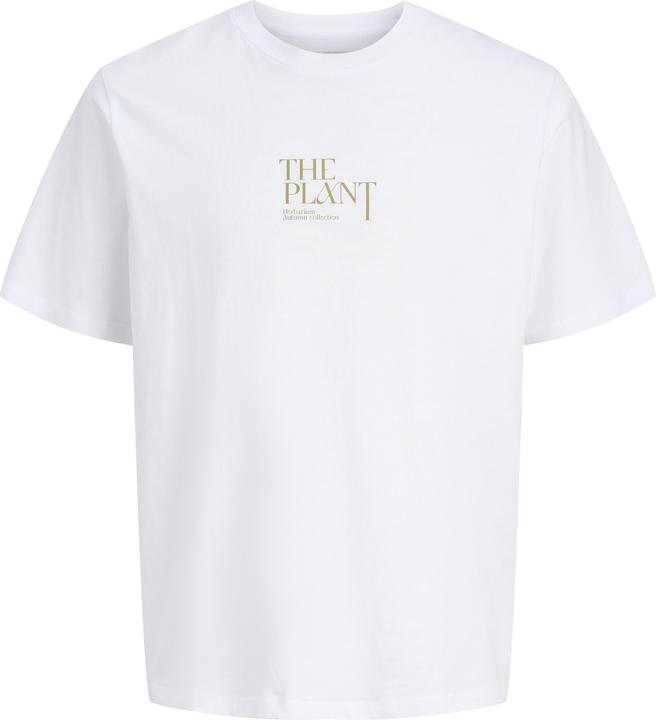Produktbild Jack & Jones Jorbradley Herbarium Tee Ss C.N Stmss25 (XL)