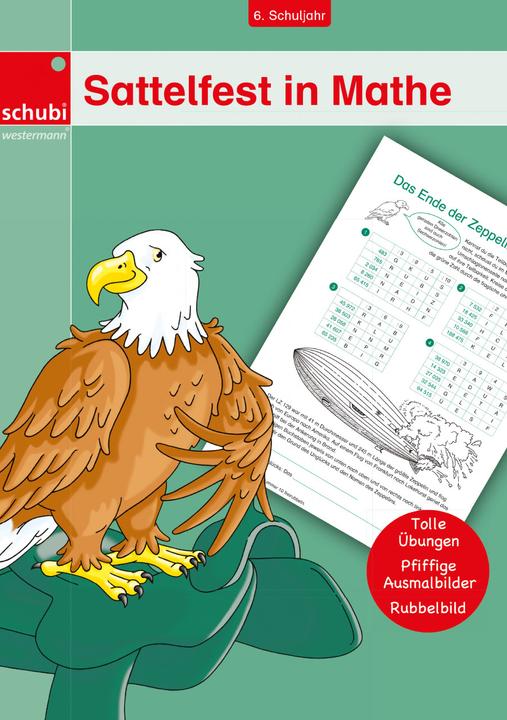 Sattelfest in Mathe. 6. Schuljahr (Deutsch, Peter Goetsch, 2008)