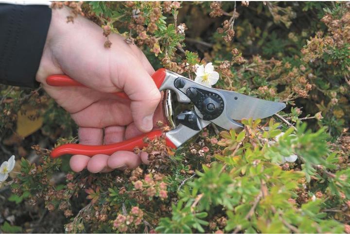 Image du produit Felco 9