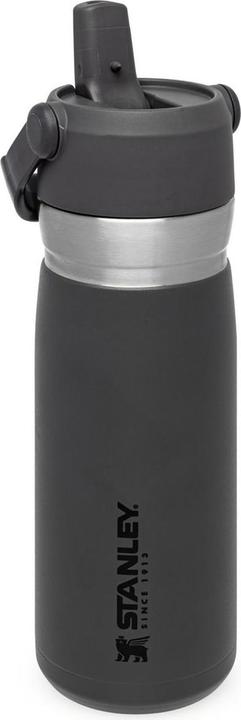 Stanley 1913 IceFlow (0.65 l)