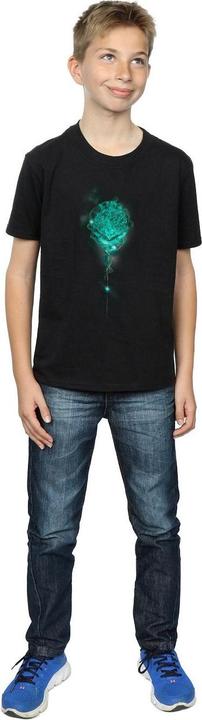 Produktbild Hogwarts Crest Mist TShirt Jungen (140, 146)